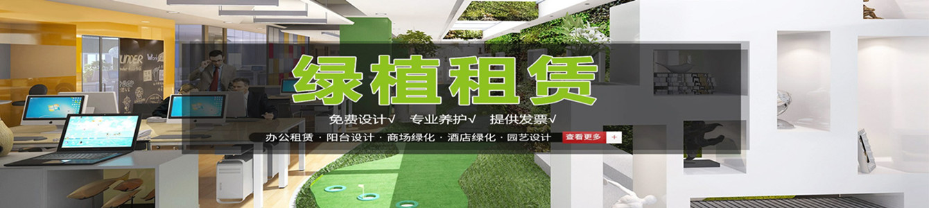 綠植養(yǎng)護標(biāo)準(zhǔn)