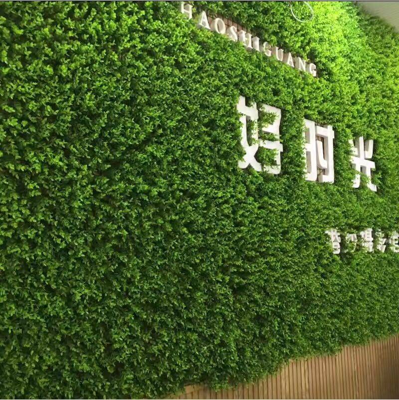 植物墻景觀|植物墻綠植|植物墻裝飾