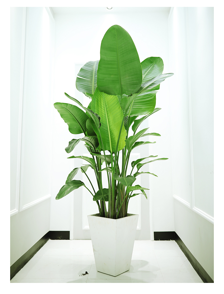 1708422830261426.jpg O1CN01gZlKgy2CucdRn8nC4_!!2204173348534.jpg